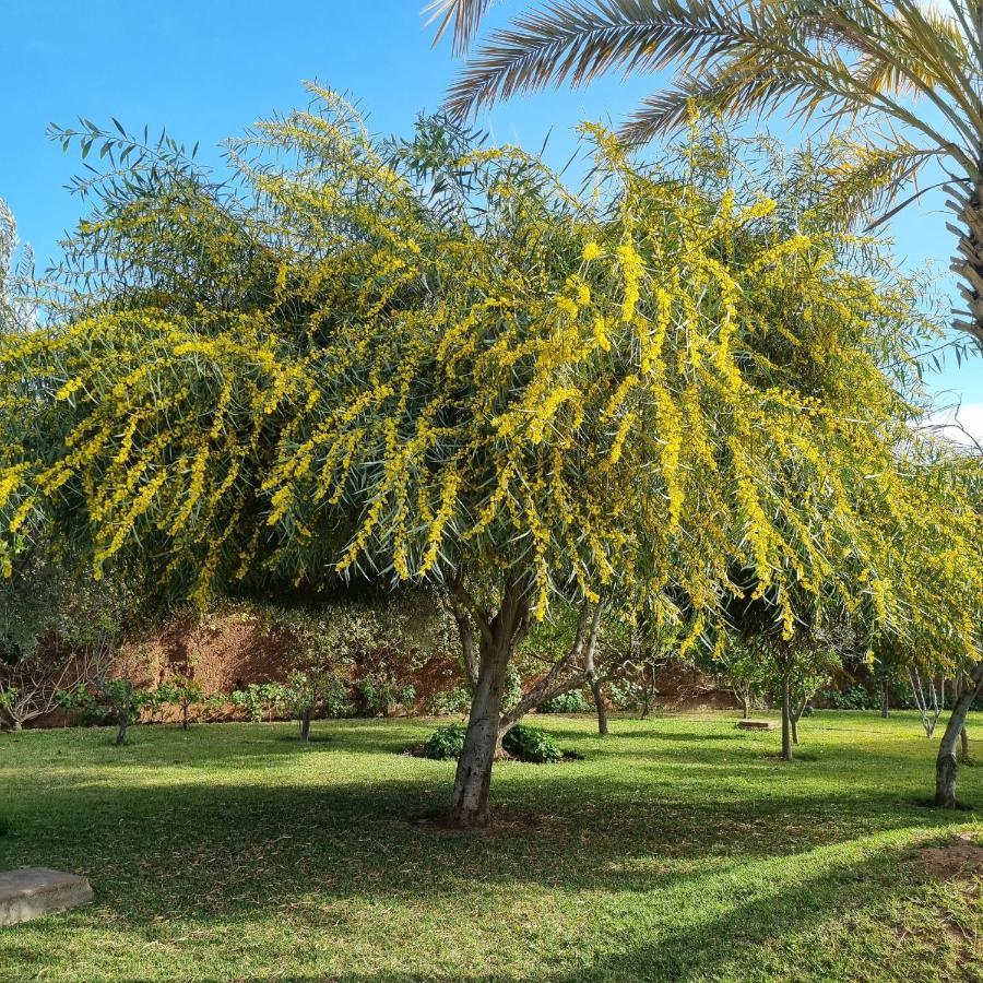 Riad Les Deux Citronniers 马拉喀什 外观 照片